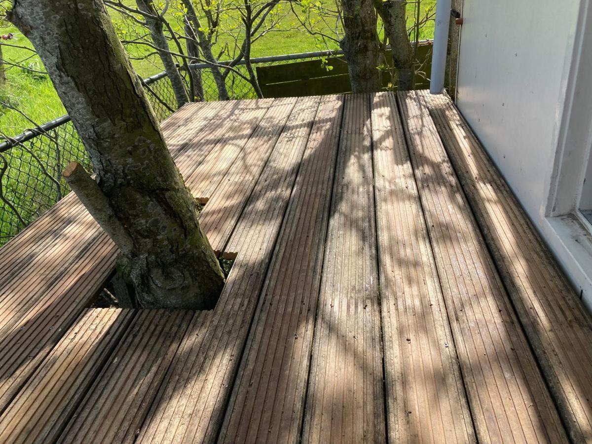Het Oude Strandhuis Uitgeest Exteriör bild