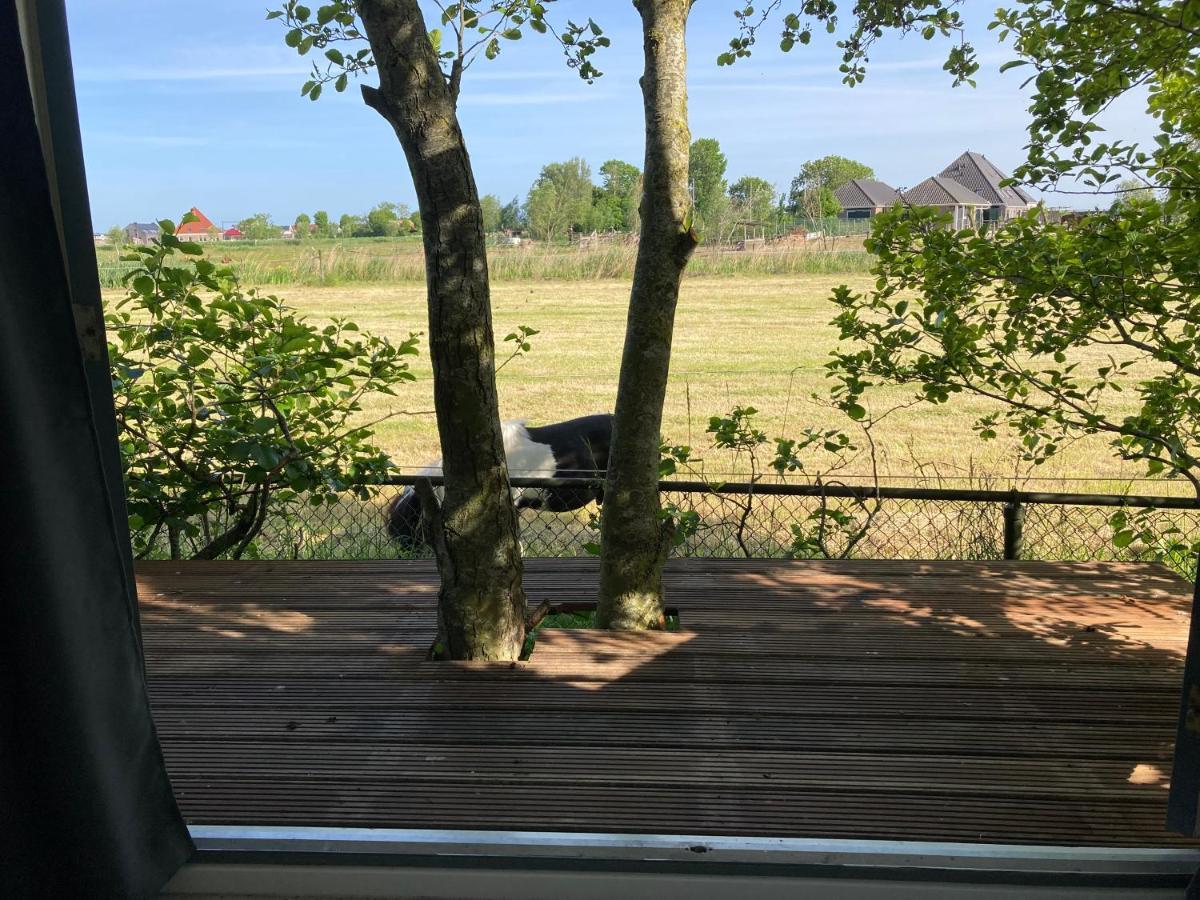 Het Oude Strandhuis Uitgeest Exteriör bild